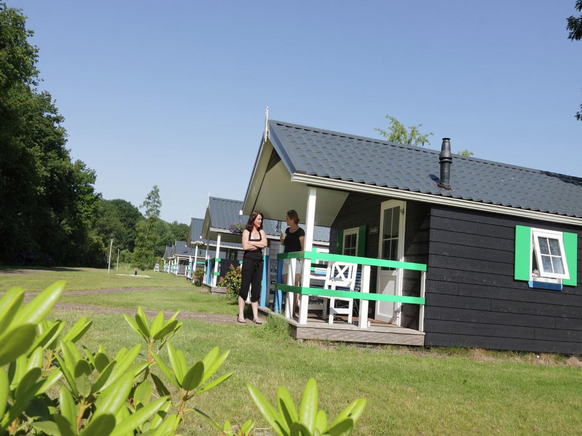 Chalet With Dishwasher, In Natural Environment IJhorst 外观 照片